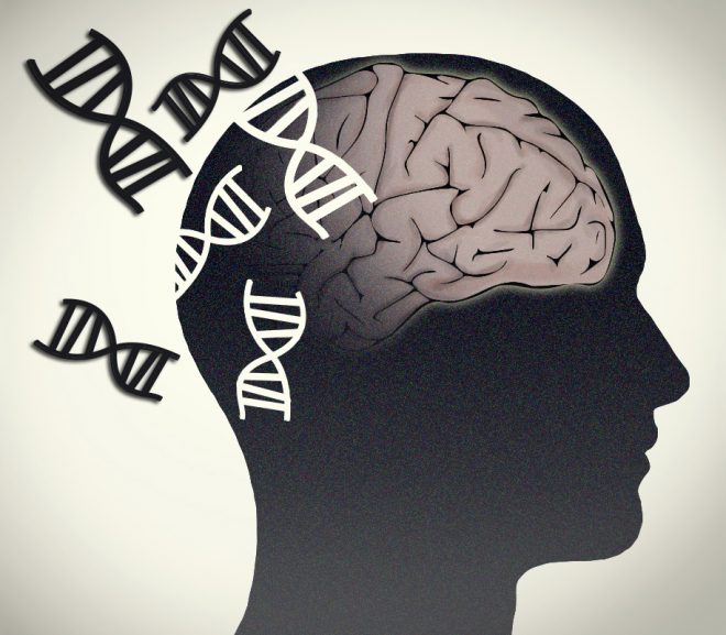 Schizophrenia biomarkers found
